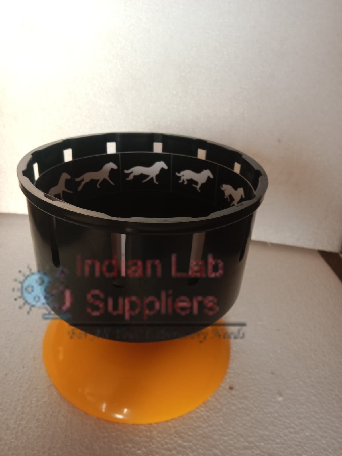 Zoetrope Model  STEM Science Lab Demonstration Model
